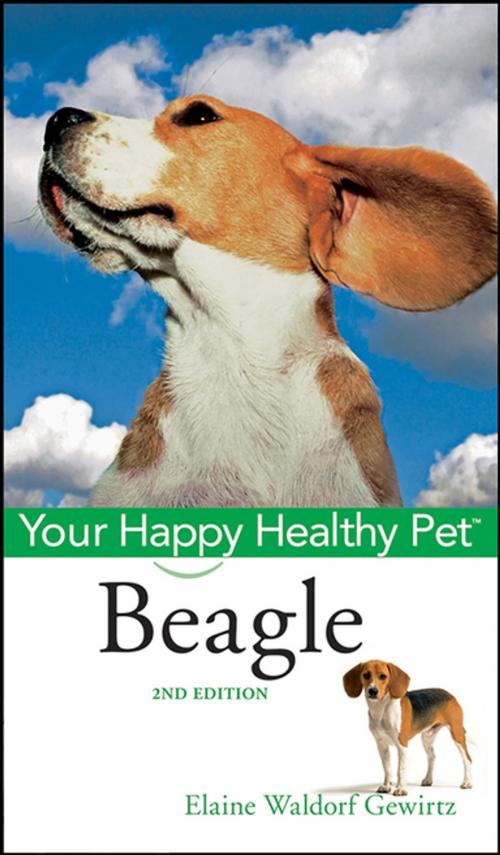 Cover of the book Beagle by Elaine Waldorf Gewirtz, Turner Publishing Company