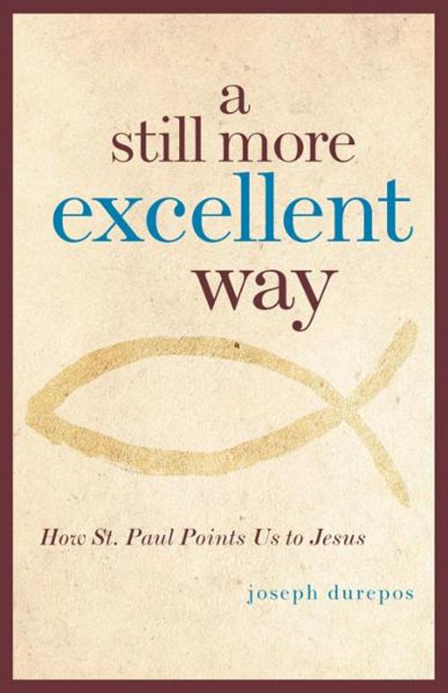 Cover of the book A Still More Excellent Way by Joseph Durepos, Loyola Press