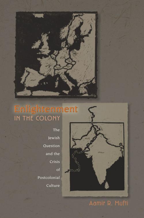 Cover of the book Enlightenment in the Colony by Aamir R. Mufti, Princeton University Press