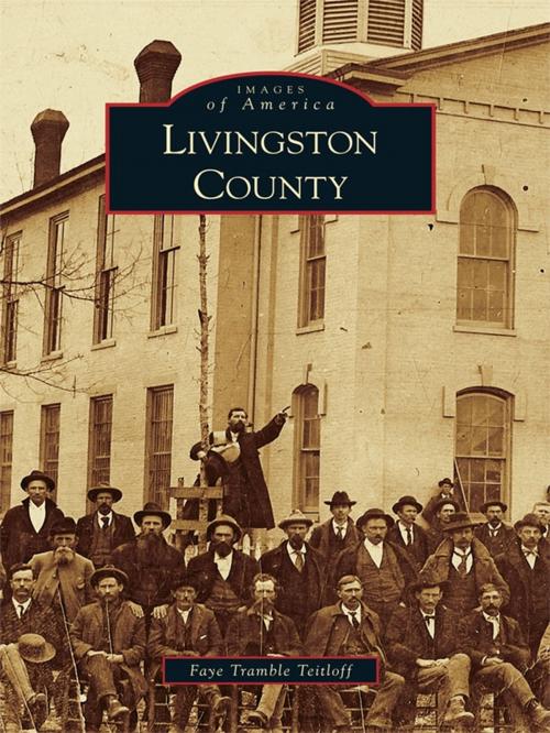 Cover of the book Livingston County by Faye Tramble Teitloff, Arcadia Publishing Inc.