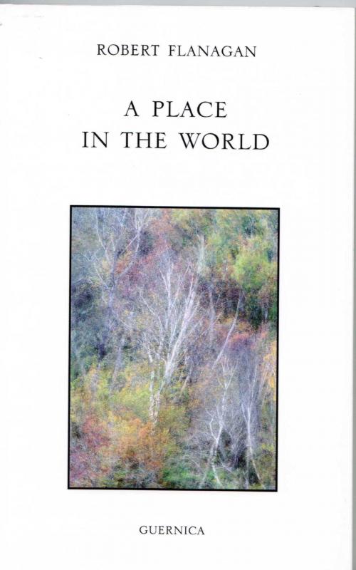 Cover of the book A PLACE IN THE WORLD by Robert Flanagan, Guernica Editions
