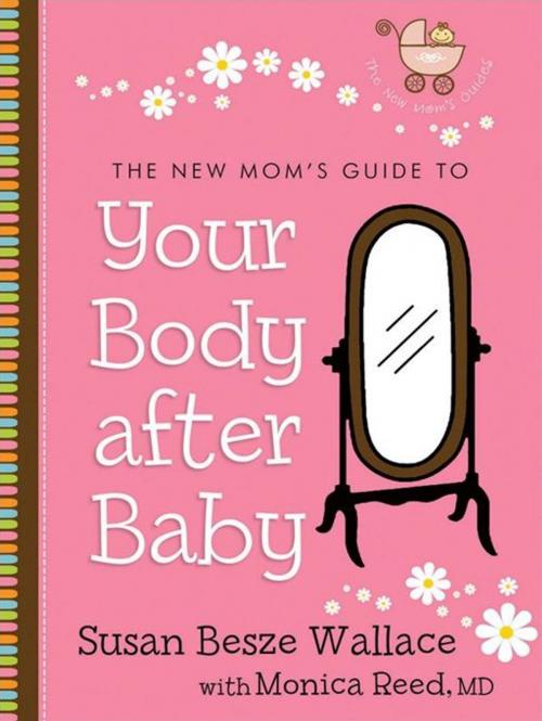 Cover of the book The New Mom's Guide to Your Body after Baby (The New Mom's Guides Book #1) by Susan Besze Wallace, Monica M.D. Reed, Baker Publishing Group