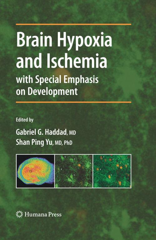 Cover of the book Brain Hypoxia and Ischemia by , Humana Press