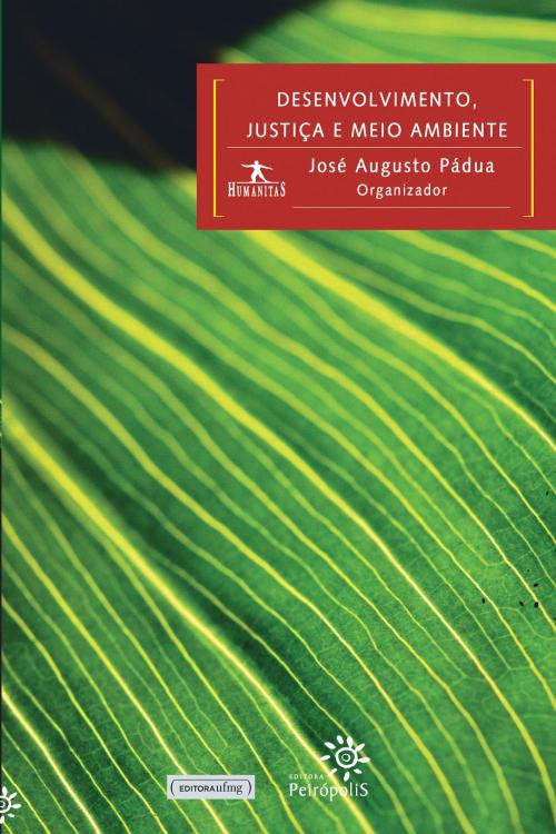 Cover of the book Desenvolvimento, justiça e meio ambiente by Ricardo Bielschowsky, Maurício Andrés Ribeiro, José Eli da Veiga, José Roberto Novaes de Almeida, Pedro Dallari, Juliana Santilli, Márcio Santilli, Martha Barata, Paulo Wrobel, Editora Peirópolis