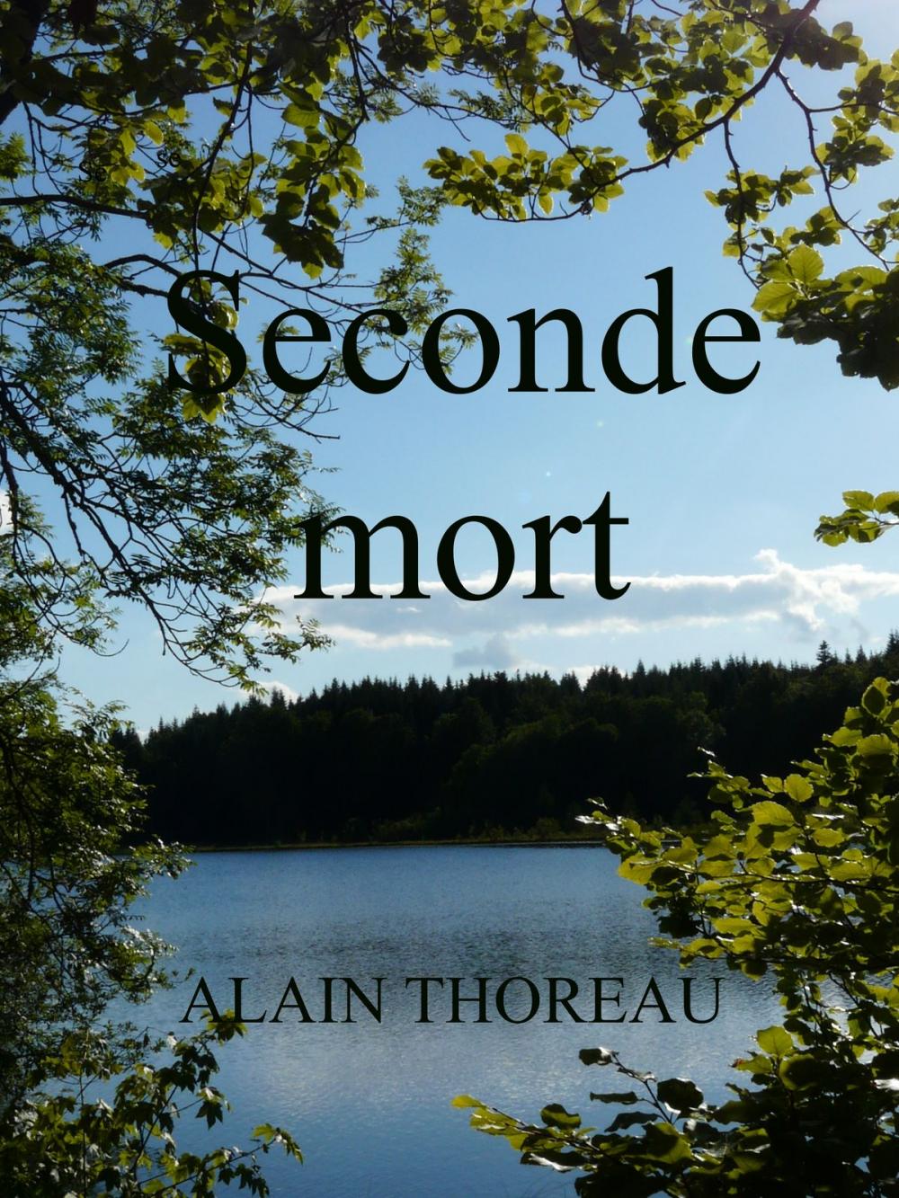 Big bigCover of Seconde mort