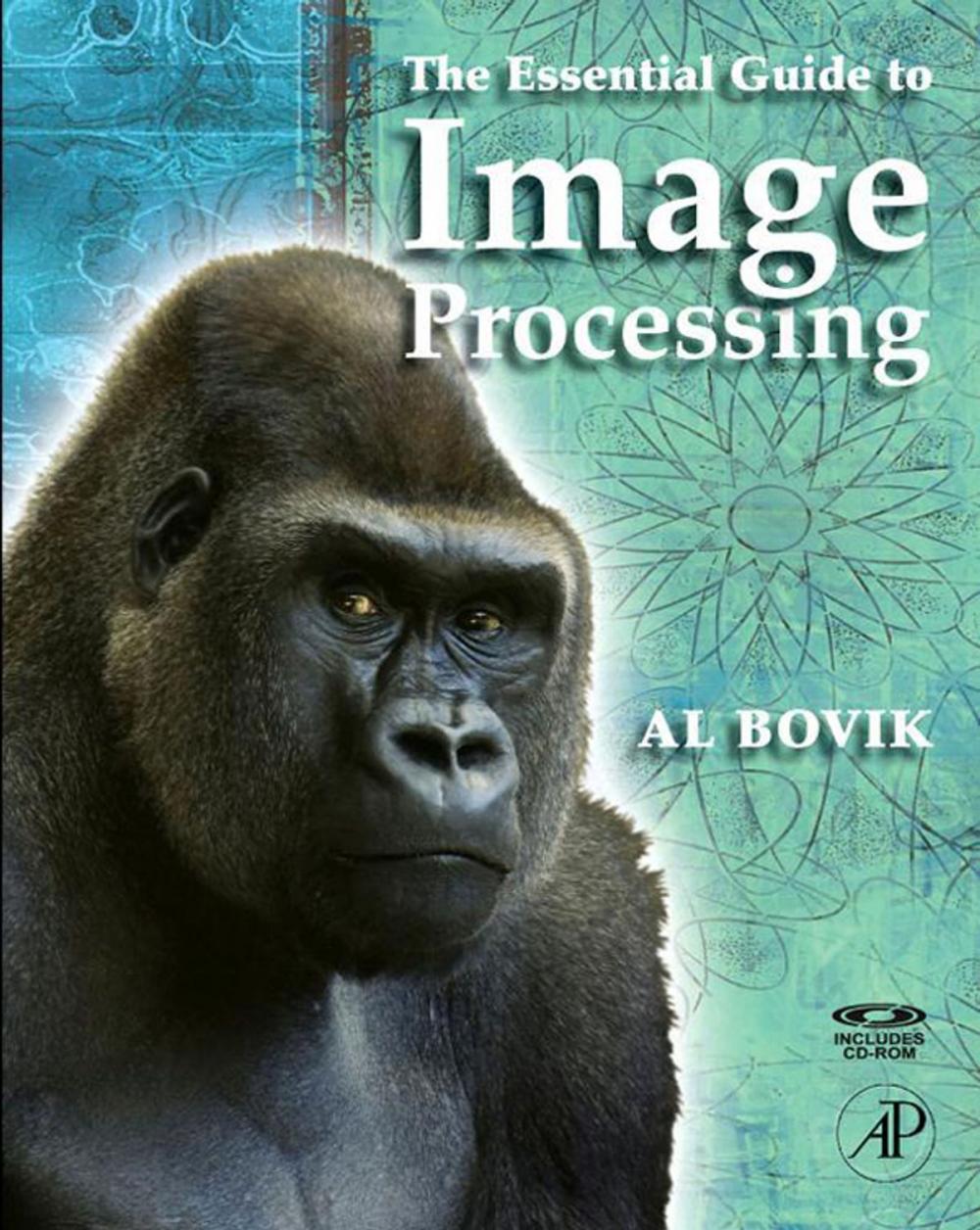 Big bigCover of The Essential Guide to Image Processing