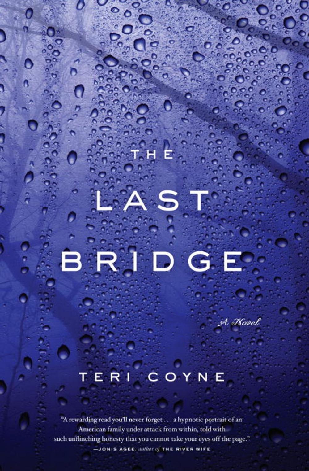 Big bigCover of The Last Bridge