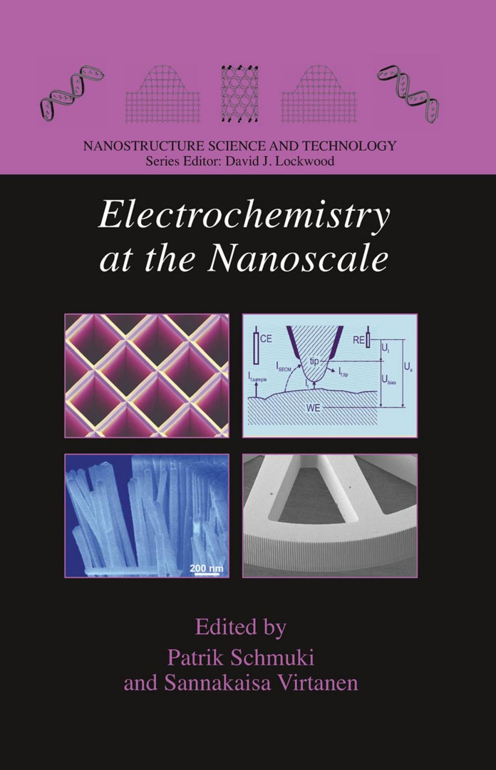 Big bigCover of Electrochemistry at the Nanoscale