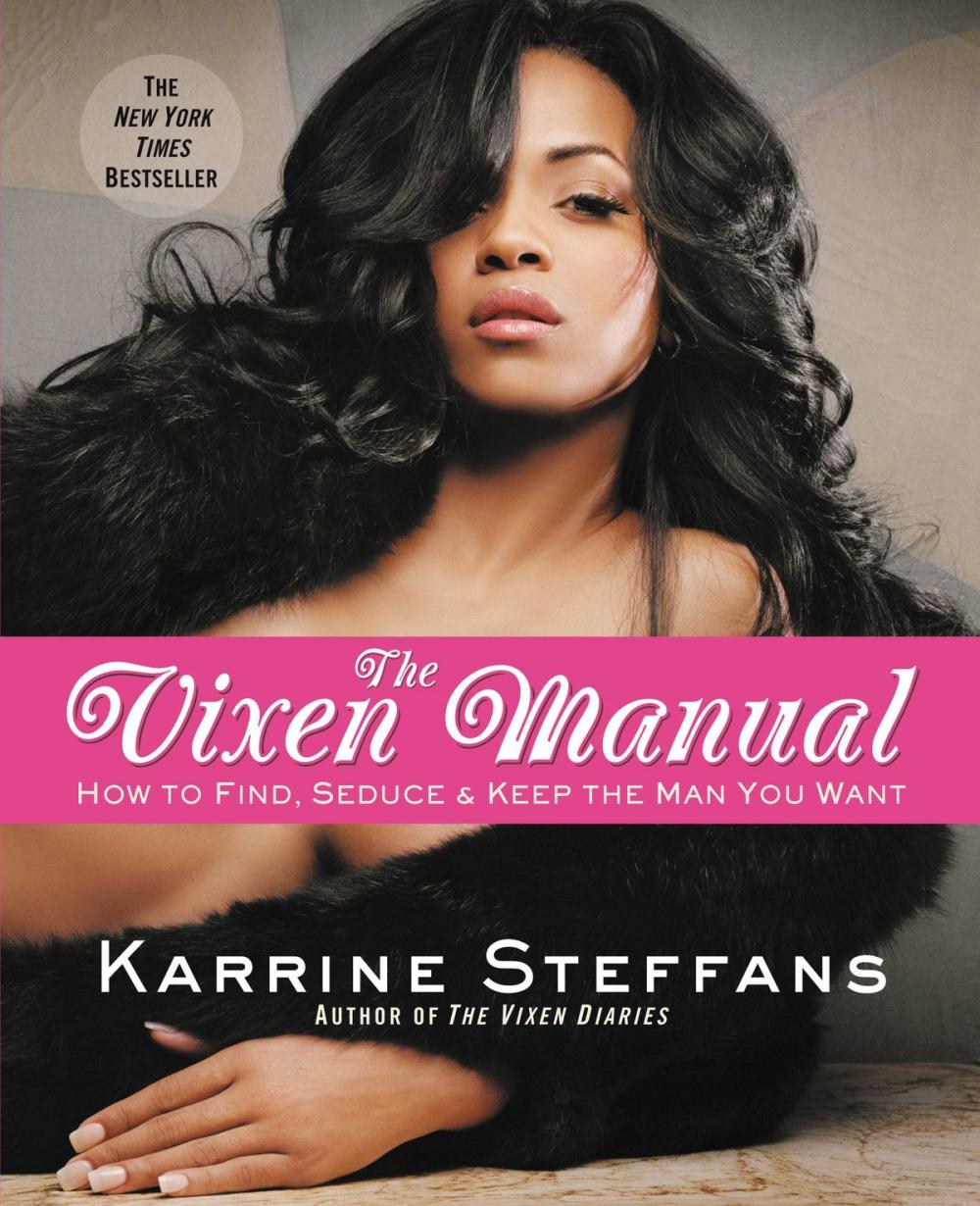 Big bigCover of The Vixen Manual