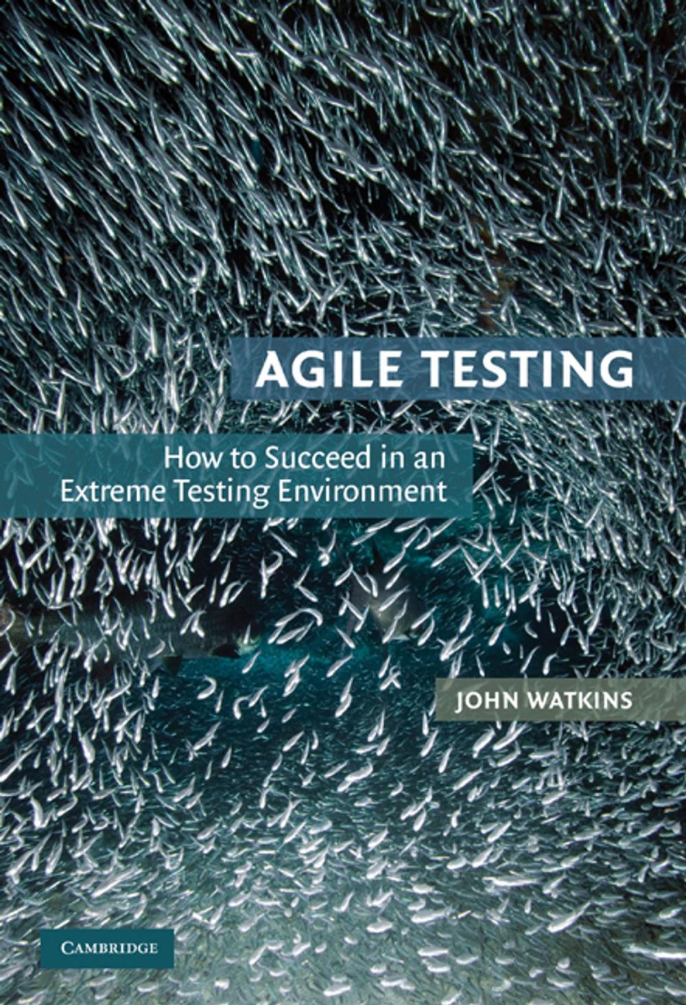 Big bigCover of Agile Testing