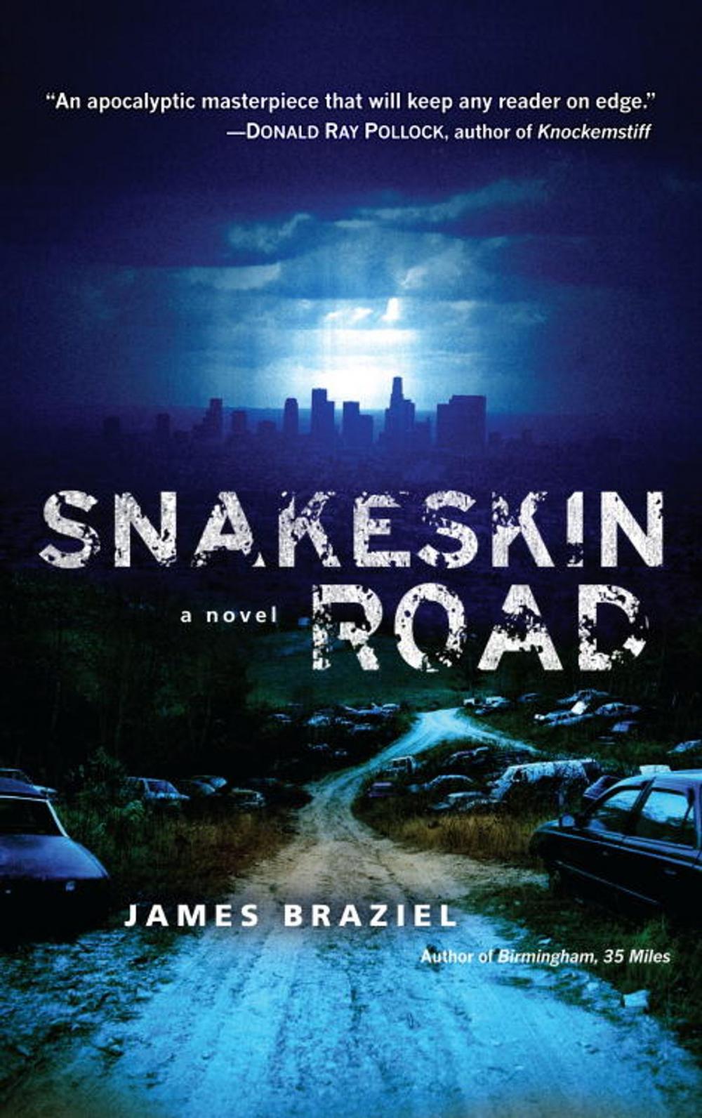 Big bigCover of Snakeskin Road