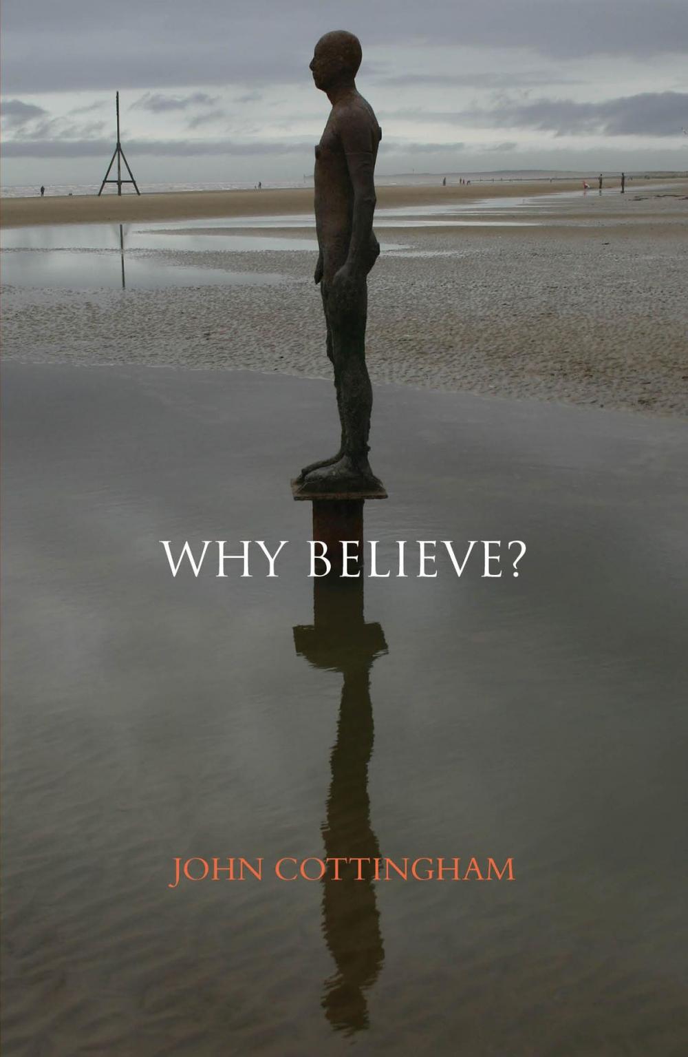 Big bigCover of Why Believe?