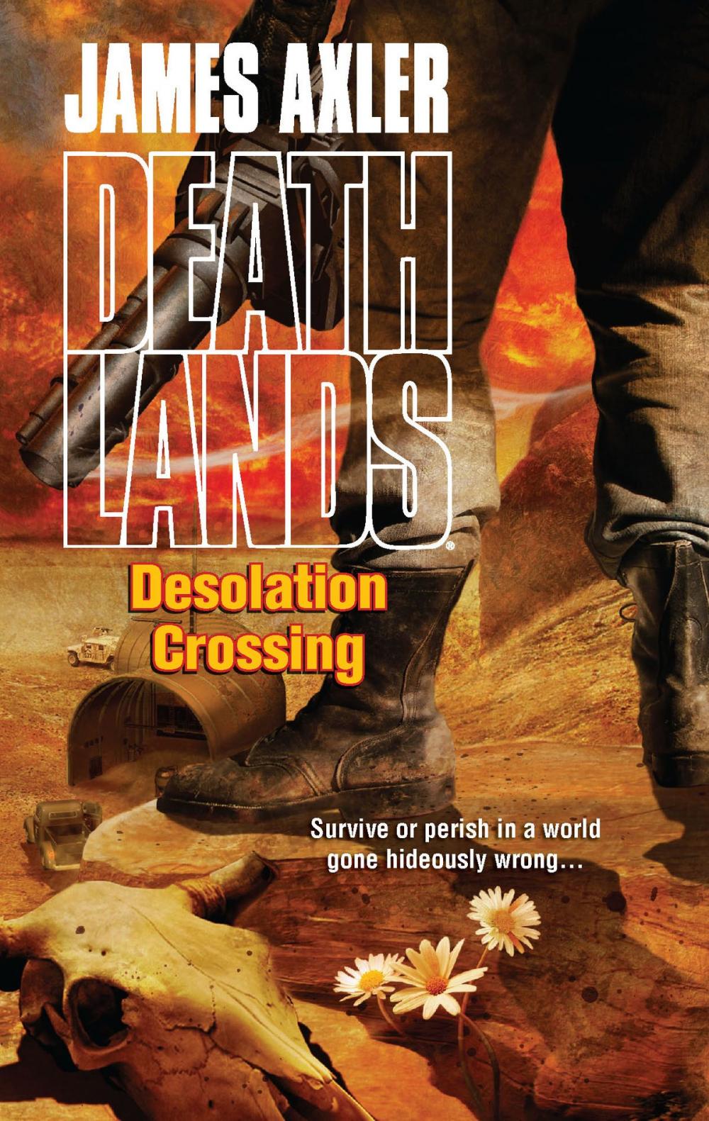 Big bigCover of Desolation Crossing