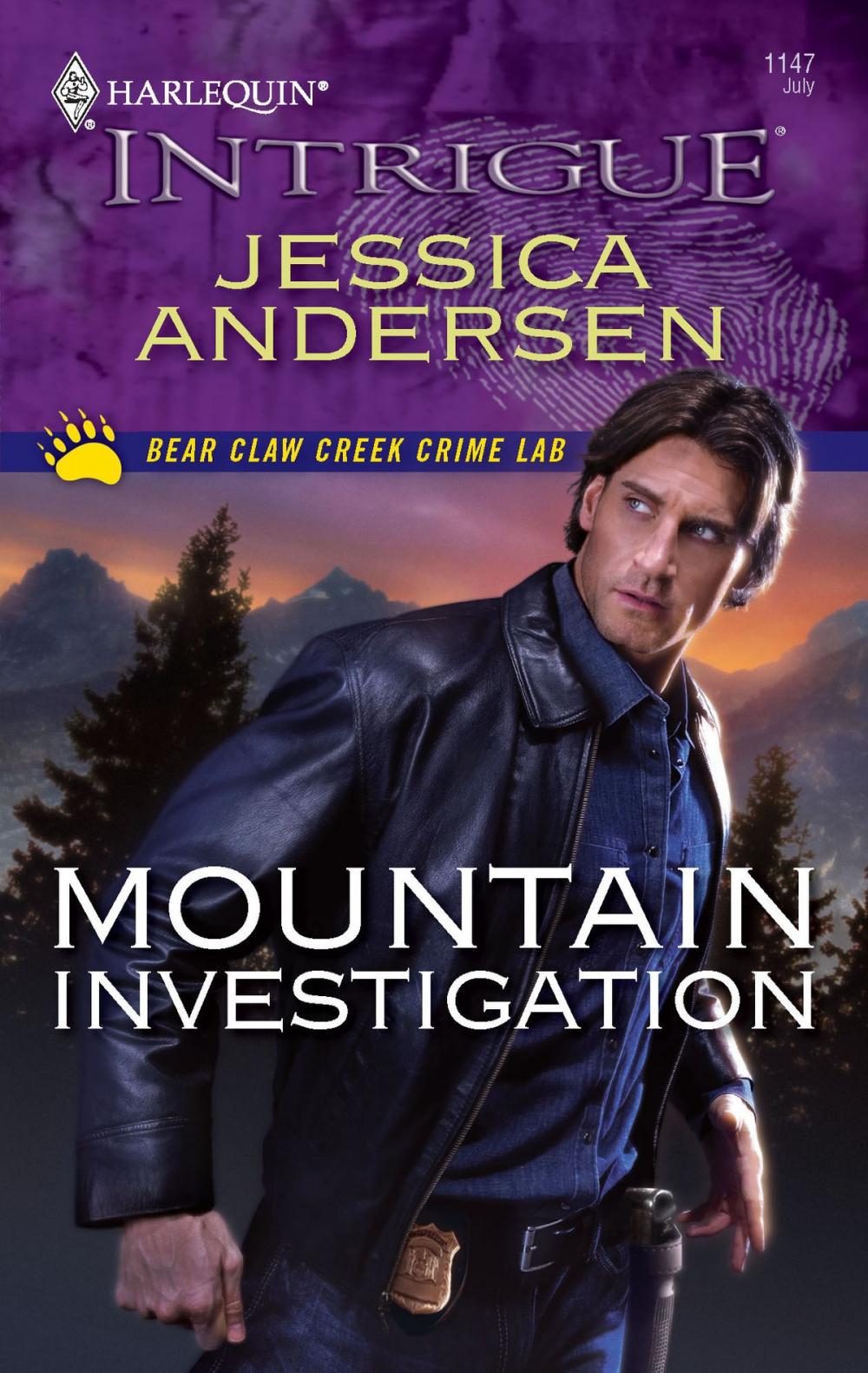 Big bigCover of Mountain Investigation