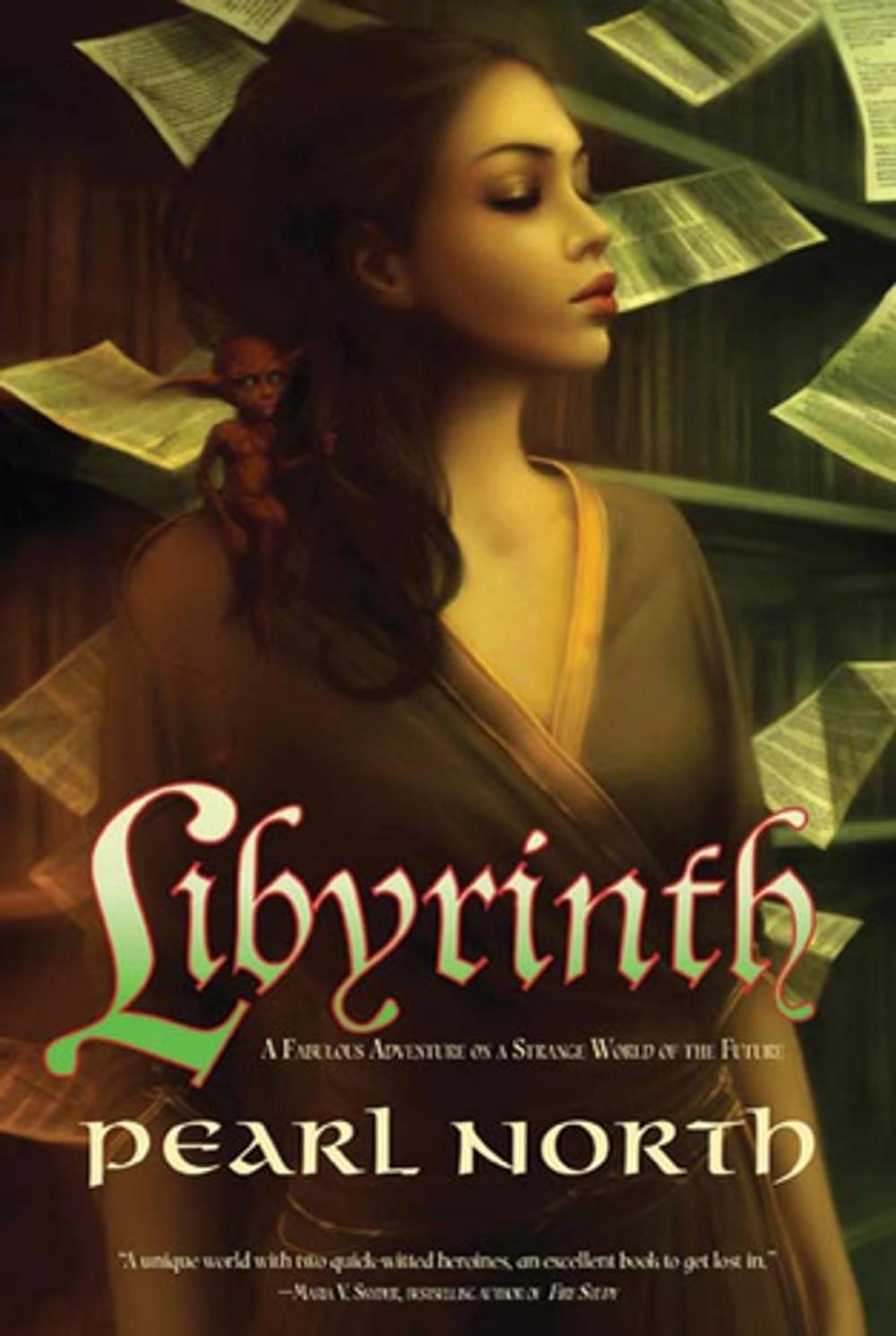 Big bigCover of Libyrinth