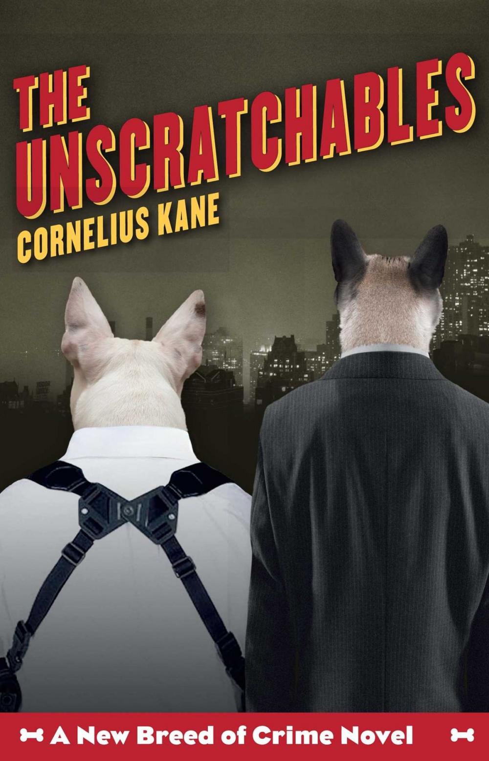 Big bigCover of The Unscratchables