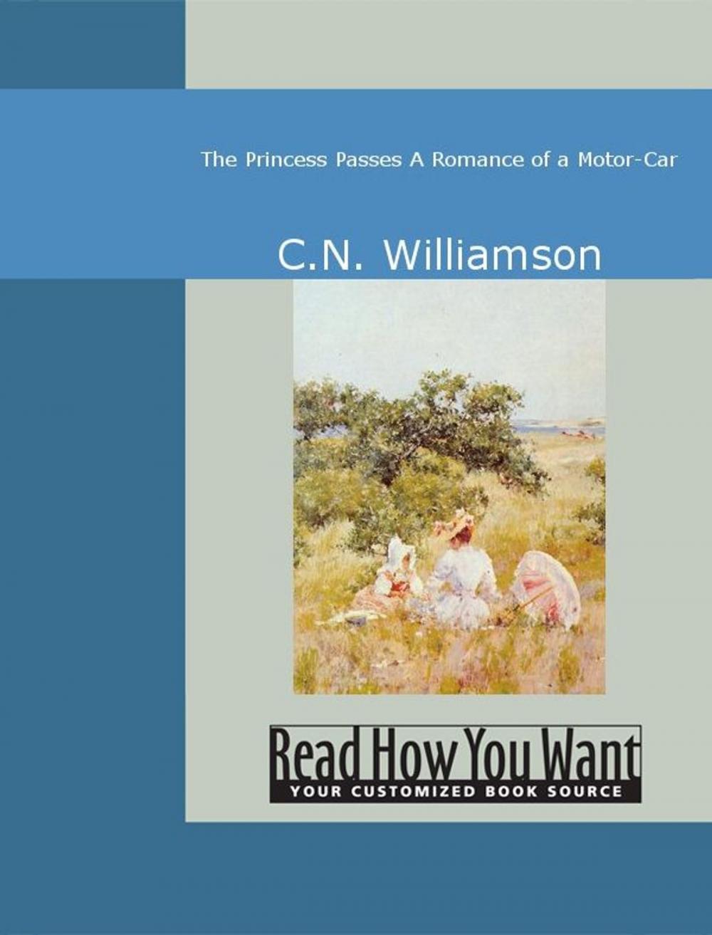 Big bigCover of The Princess Passes : A Romance Of A Motor-Car