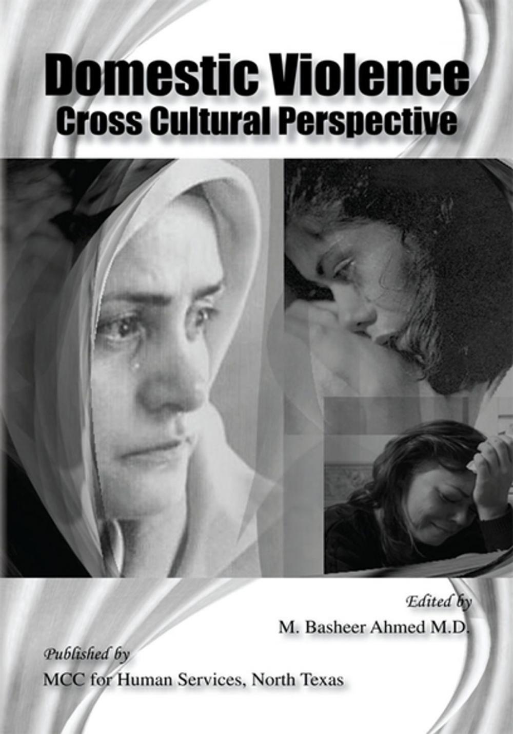 Big bigCover of Domestic Violence Cross Cultural Perspective