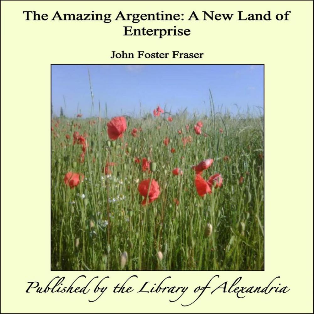 Big bigCover of The Amazing Argentine: A New Land of Enterprise