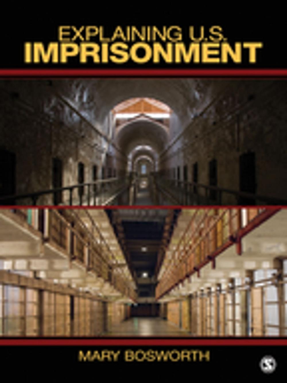 Big bigCover of Explaining U.S. Imprisonment