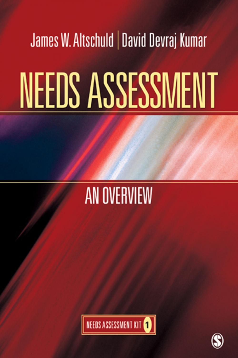 Big bigCover of Needs Assessment