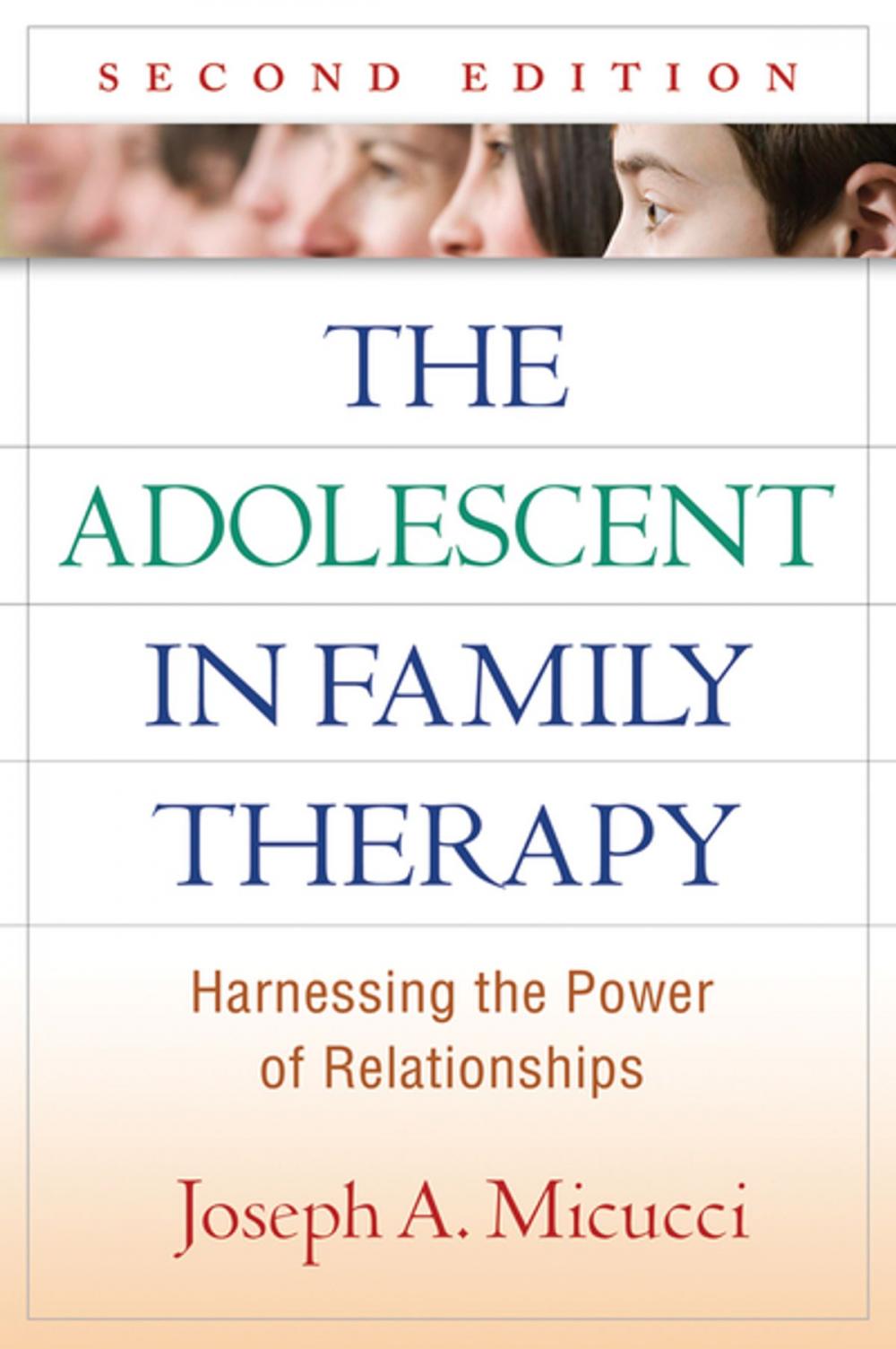 Big bigCover of The Adolescent in Family Therapy, Second Edition