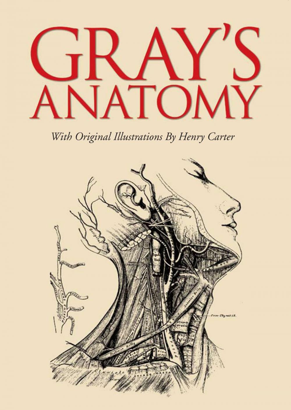 Big bigCover of Gray's Anatomy