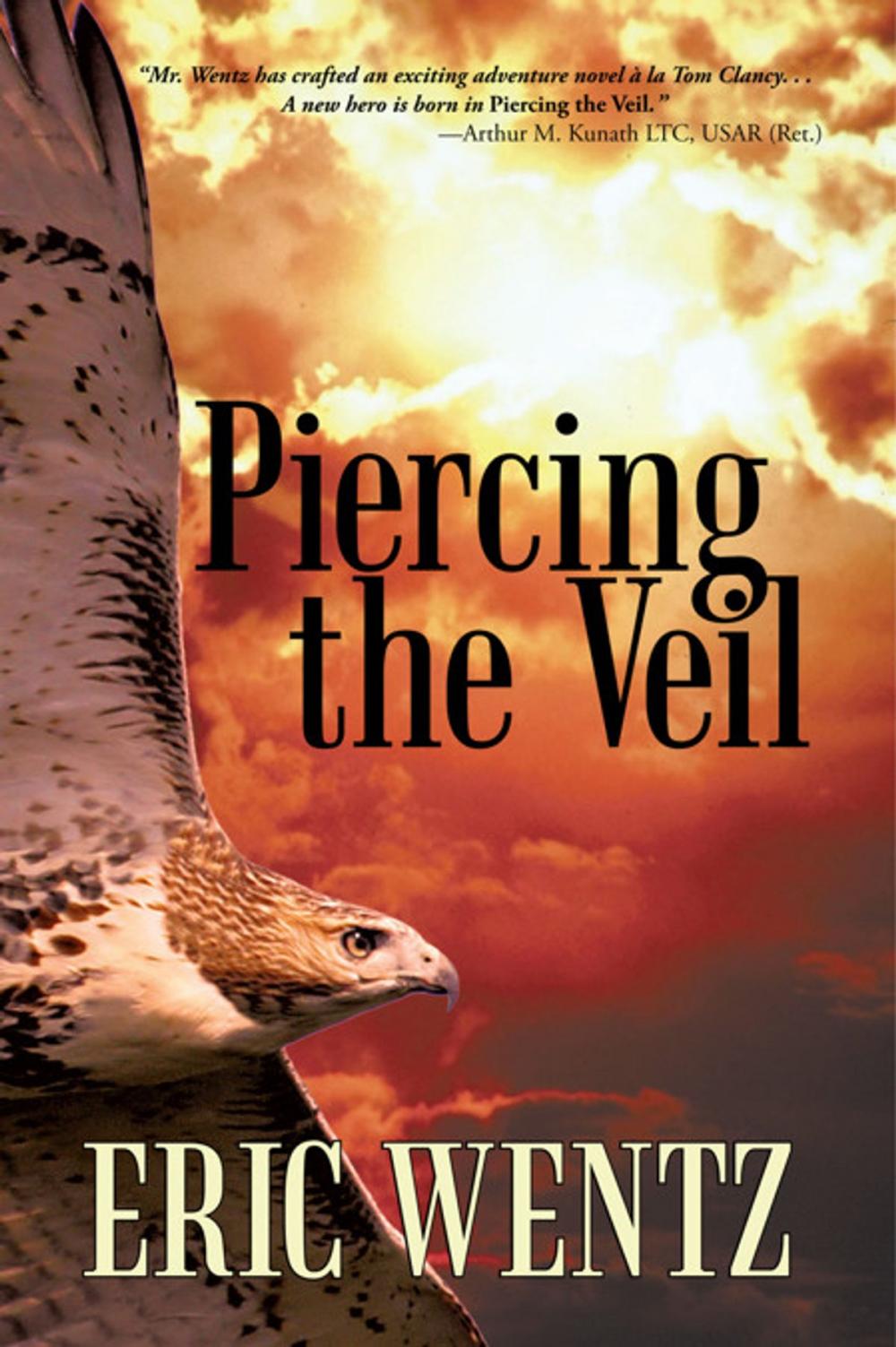 Big bigCover of Piercing the Veil