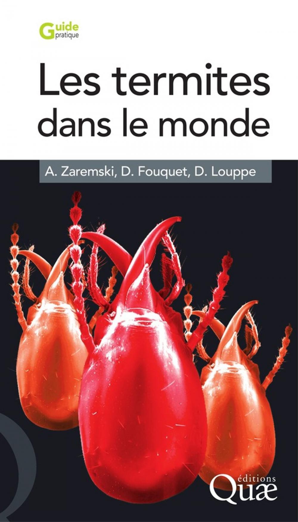 Big bigCover of Les termites dans le monde