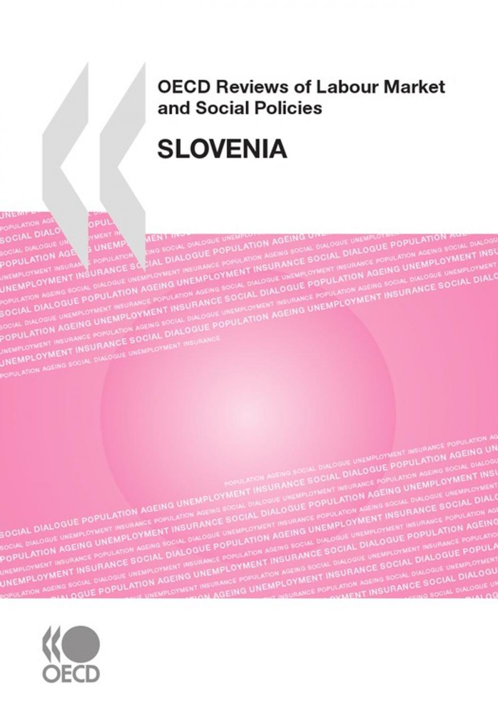 Big bigCover of OECD Reviews of Labour Market and Social Policies: Slovenia 2009