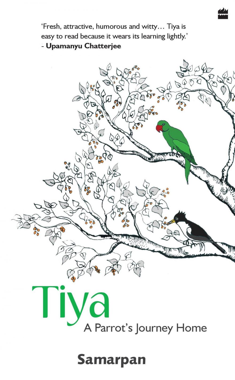 Big bigCover of Tiya : A Parrot's Journey home