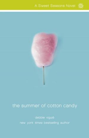 Cover of the book The Summer of Cotton Candy by Craig Groeschel
