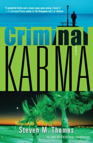 Cover of the book Criminal Karma by Sue Wyshynski