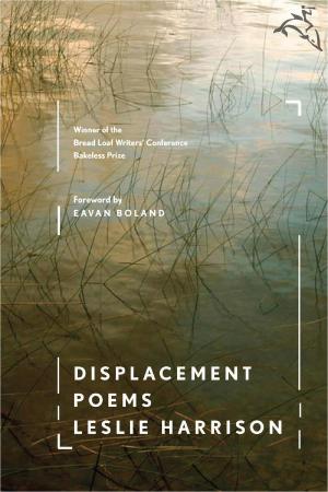 Cover of the book Displacement by Nathan H. Lents