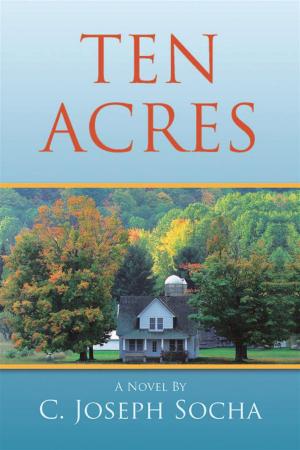 Cover of the book Ten Acres by Feliche Ranger
