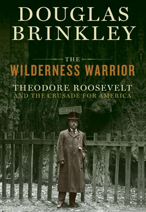 Cover of the book The Wilderness Warrior by Douglas Brinkley, HarperCollins e-books