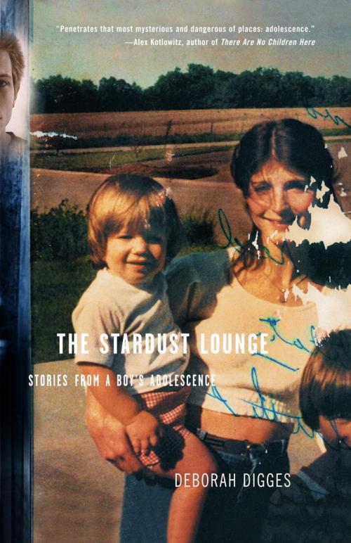 Cover of the book The Stardust Lounge by Deborah Digges, Knopf Doubleday Publishing Group