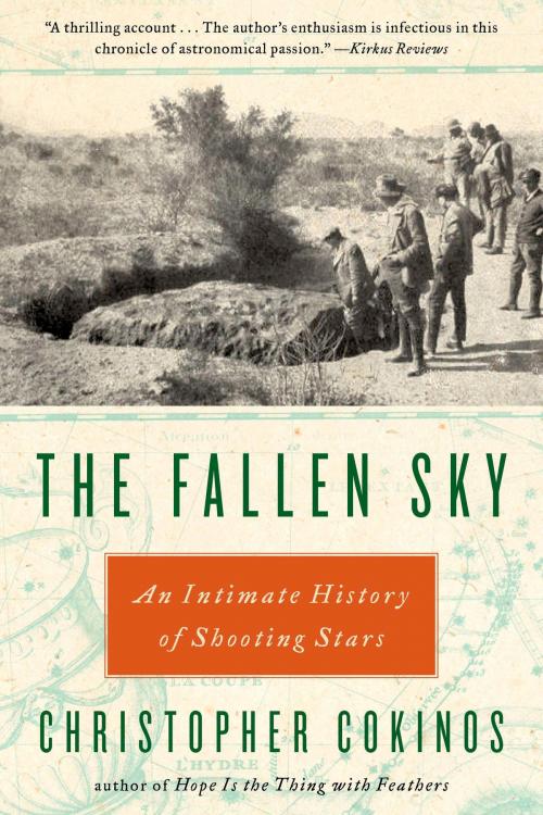 Cover of the book The Fallen Sky by Christopher Cokinos, Penguin Publishing Group