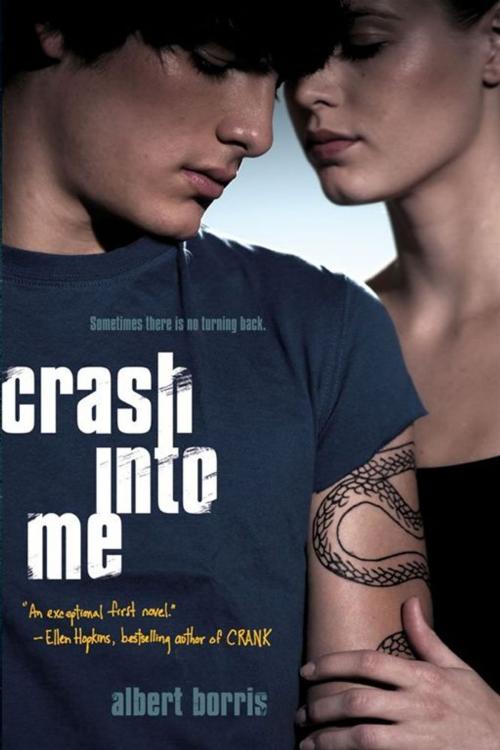 Cover of the book Crash into Me by Albert Borris, Simon Pulse