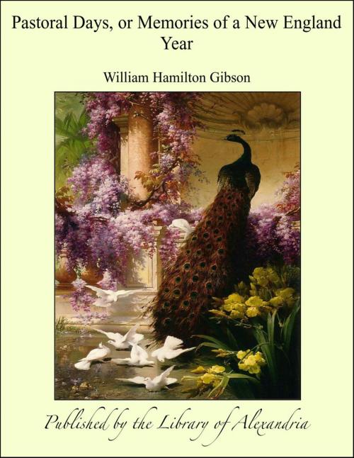 Cover of the book Pastoral Days, or Memories of a New England Year by William Hamilton Gibson, Library of Alexandria