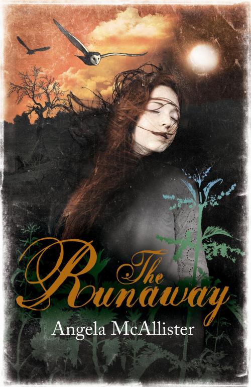 Cover of the book The Runaway by Angela McAllister, Hachette Children's