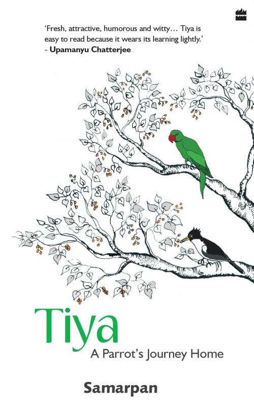 Cover of the book Tiya : A Parrot's Journey home by Samarpan, HarperCollins Publishers India