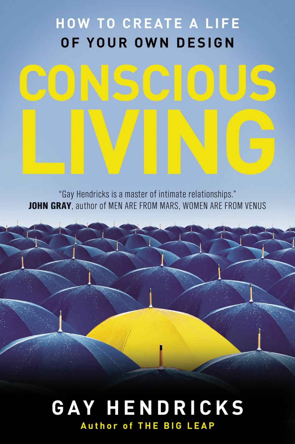 Big bigCover of Conscious Living