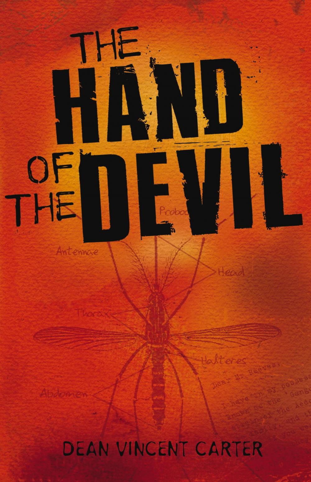 Big bigCover of The Hand of the Devil