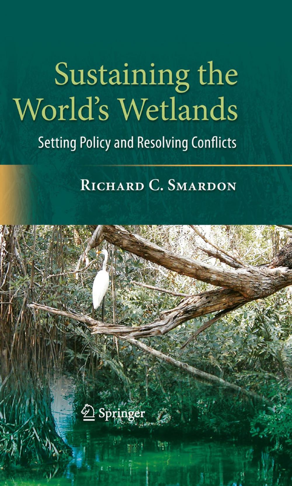 Big bigCover of Sustaining the World's Wetlands