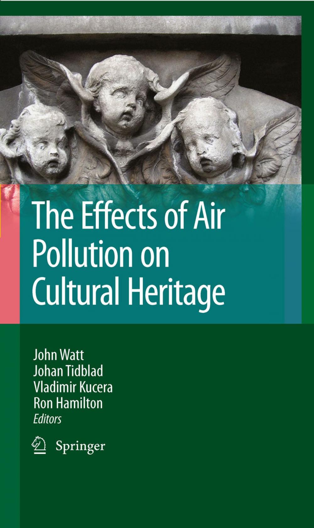 Big bigCover of The Effects of Air Pollution on Cultural Heritage