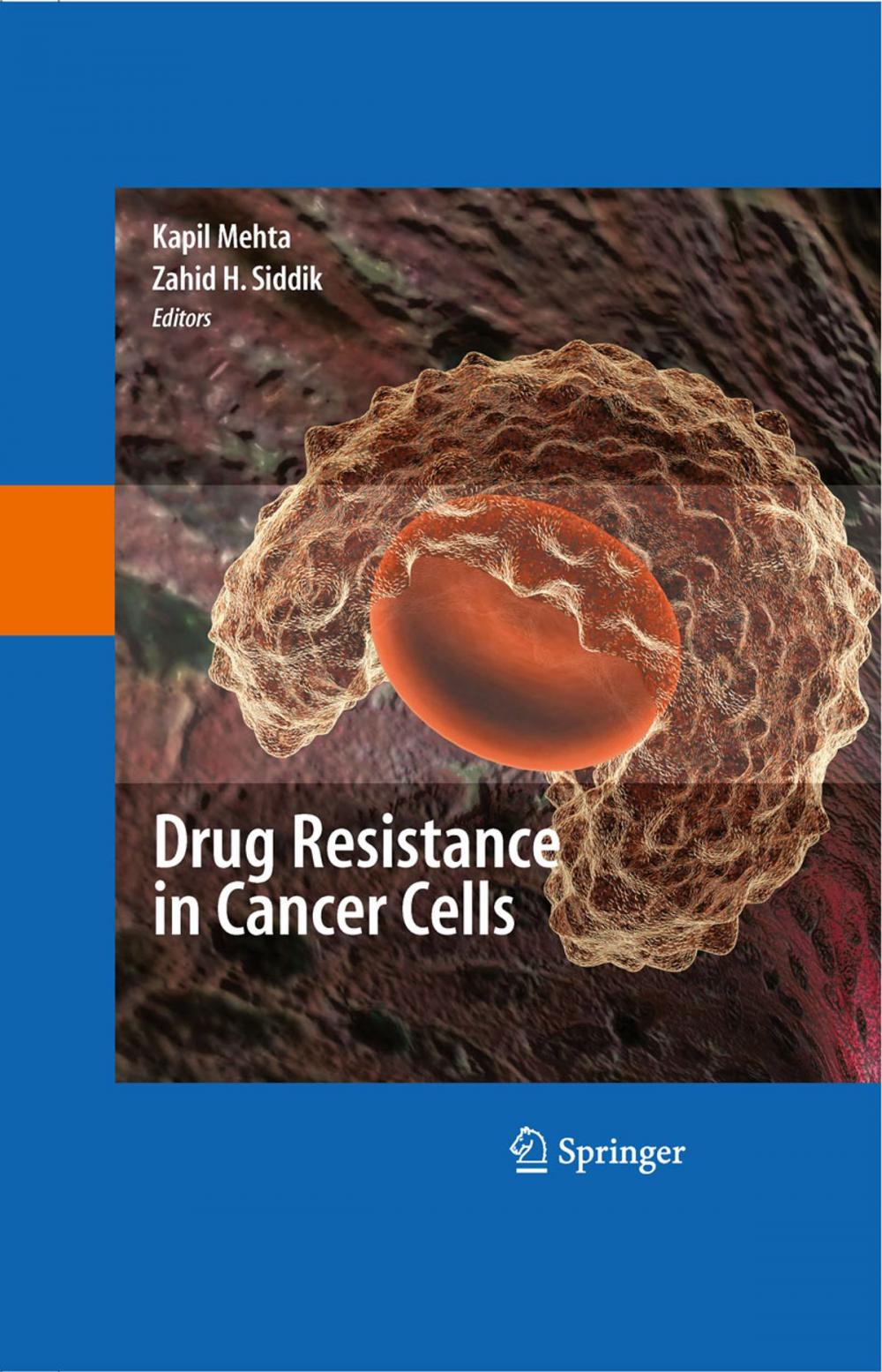 Big bigCover of Drug Resistance in Cancer Cells