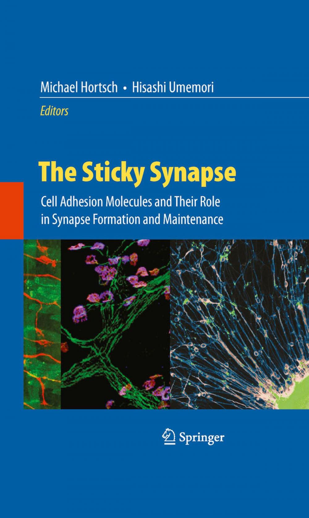 Big bigCover of The Sticky Synapse