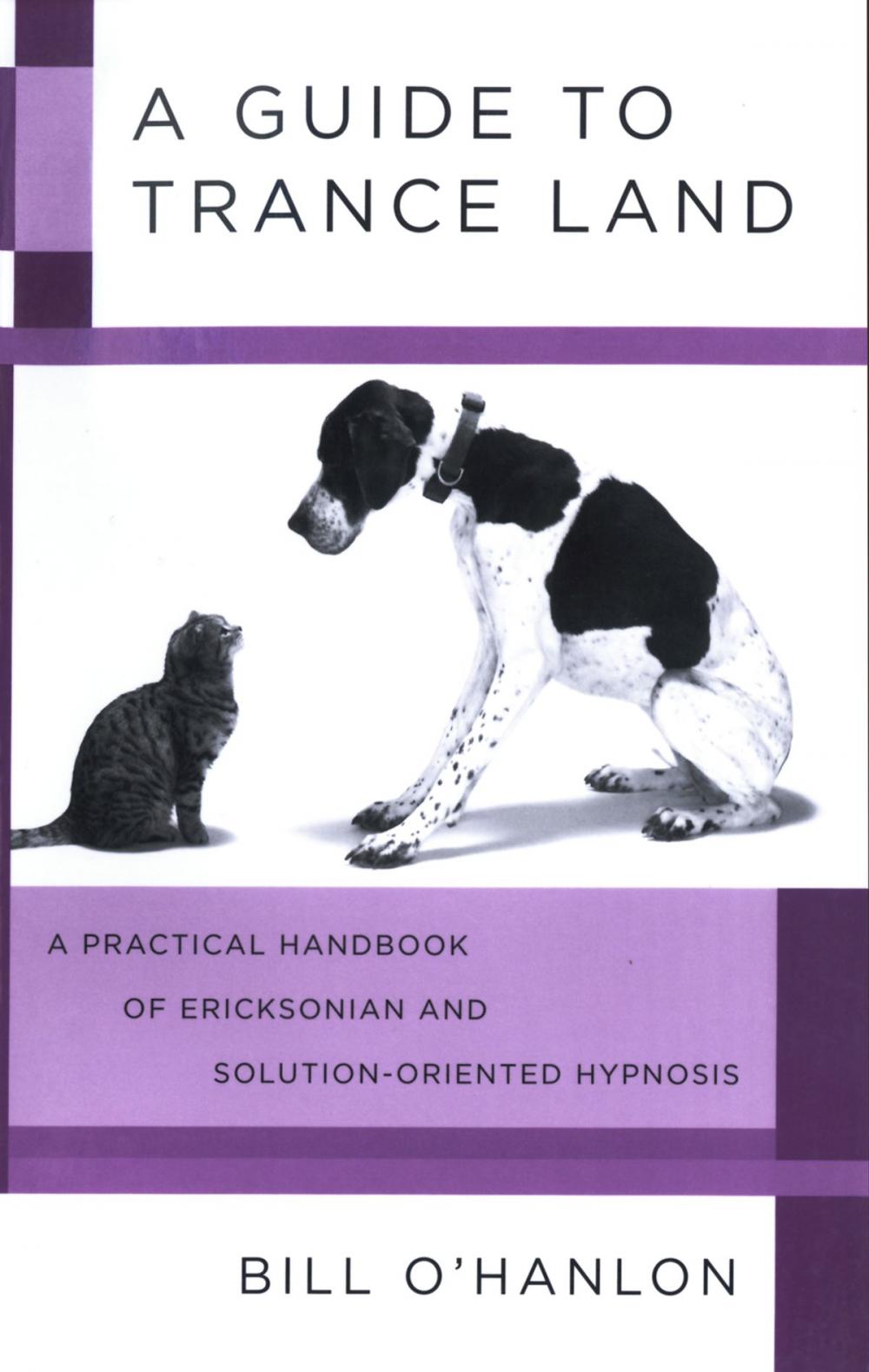 Big bigCover of A Guide to Trance Land: A Practical Handbook of Ericksonian and Solution-Oriented Hypnosis