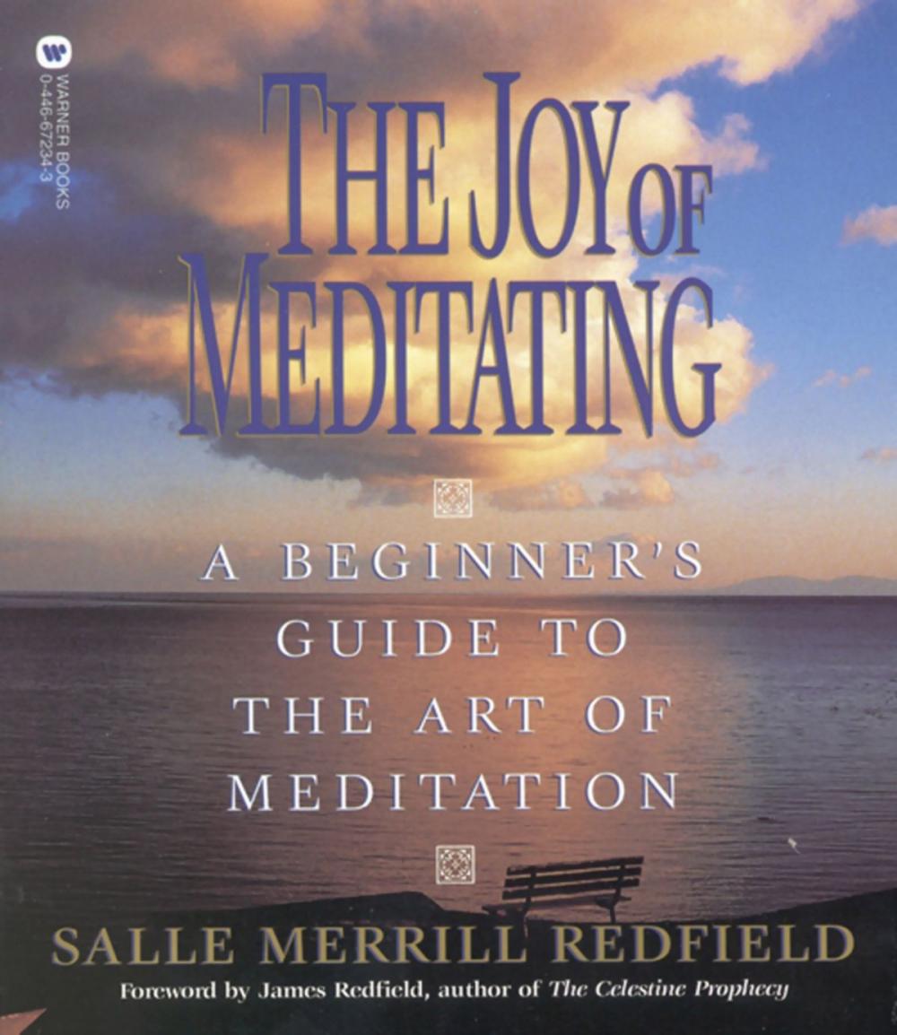 Big bigCover of The Joy of Meditating